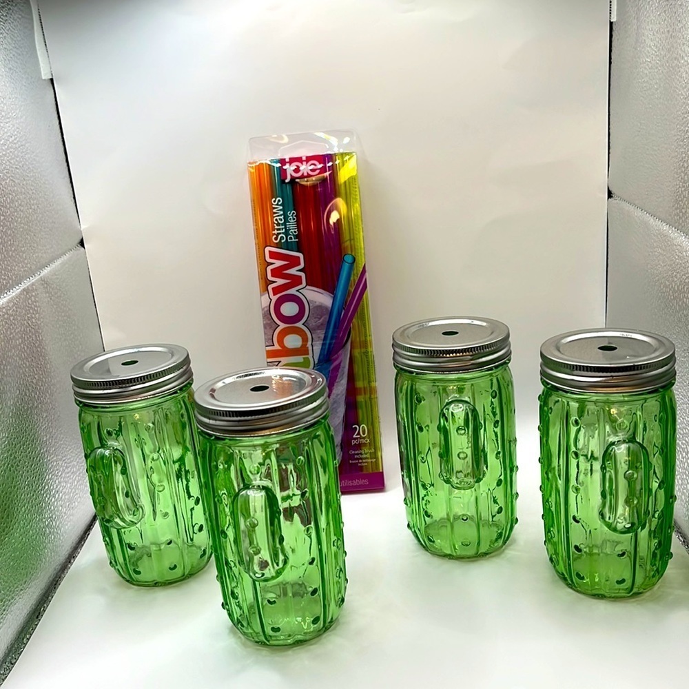 Green Cactus Glass Mason Jar Drinking Glasses with Lids - Set of 4